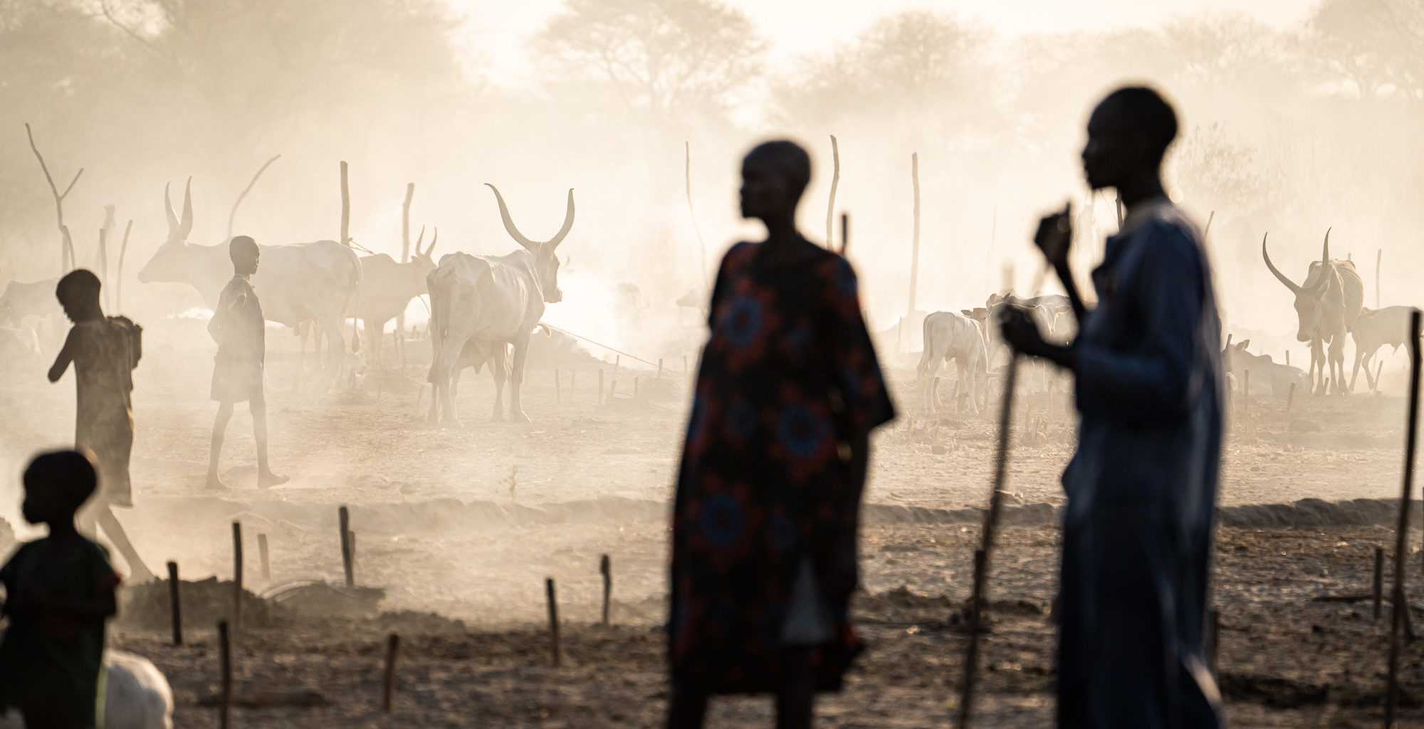 South Sudan landscape
