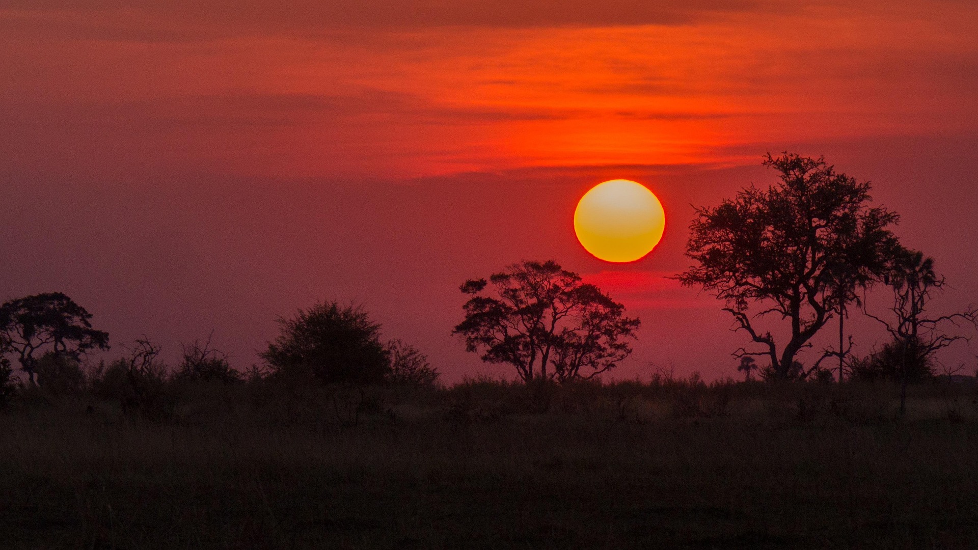 Botswana landscape
