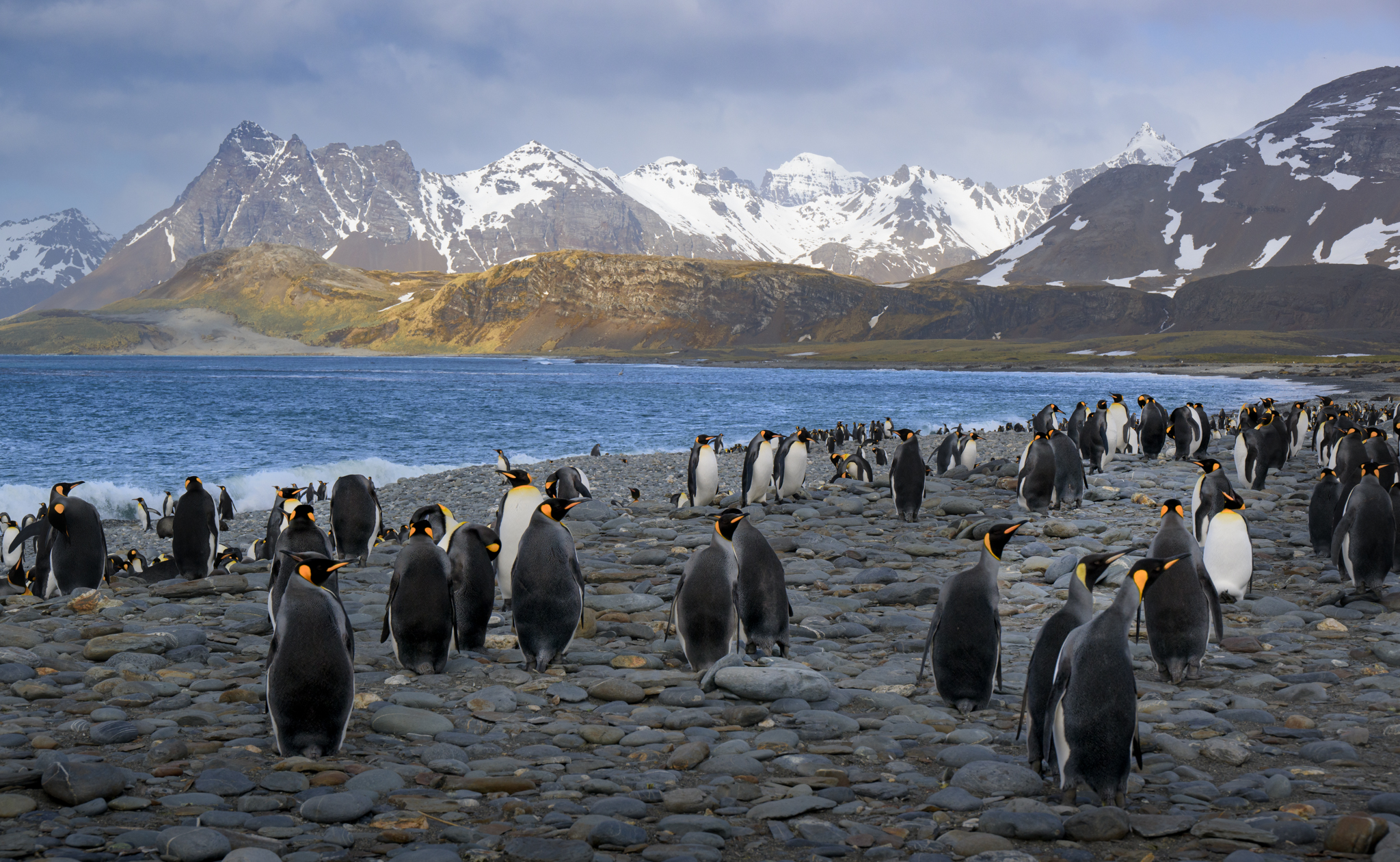 Falkland Islands landscape