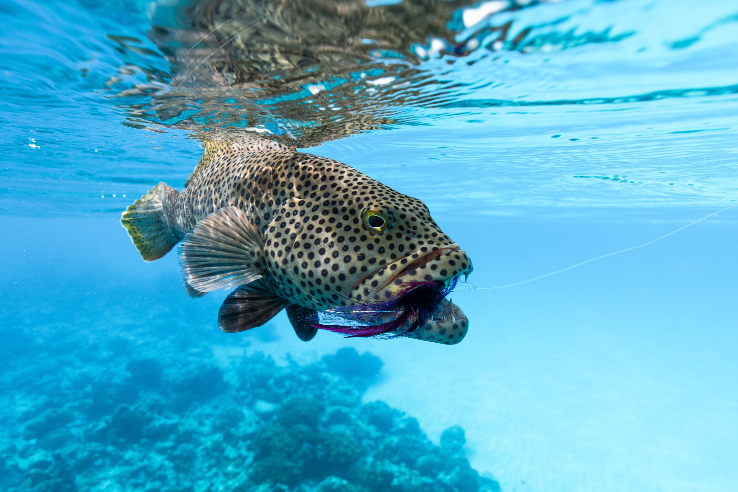 Cocos (Keeling) Islands landscape