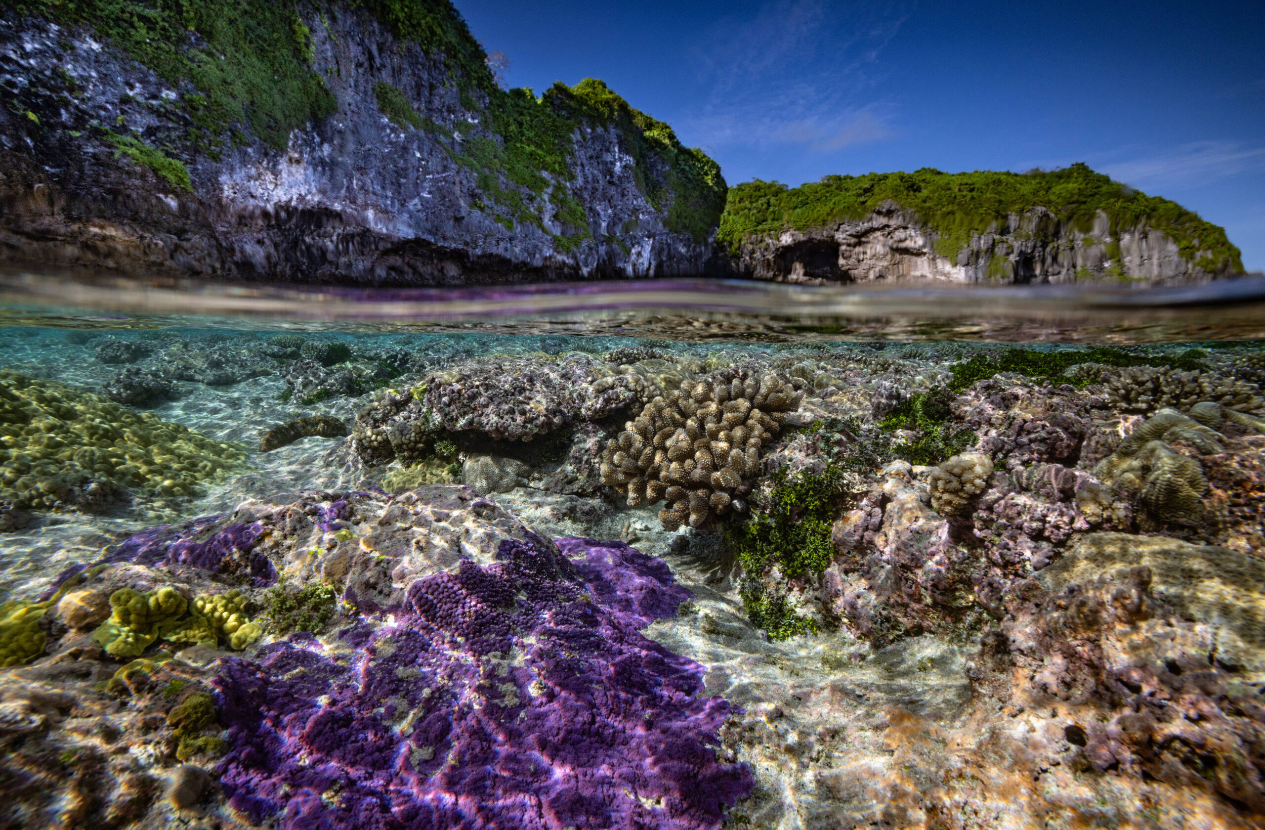 Niue landscape